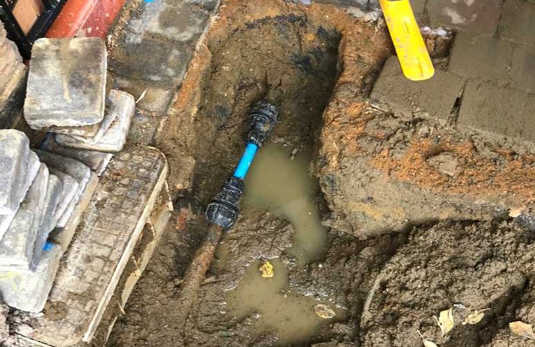 Lead Detection & Repair