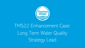 Lead Pipes in London: Why Thames Water Says They Must Be Replaced – and Why the Problem Is So Difficult to Solve