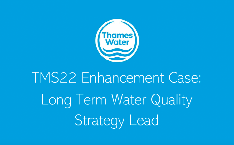  Lead Pipes in London: Why Thames Water Says They Must Be Replaced – and Why the Problem Is So Difficult to Solve